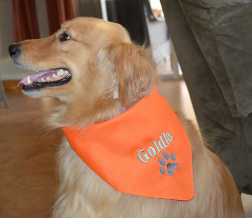 dog bandana orange